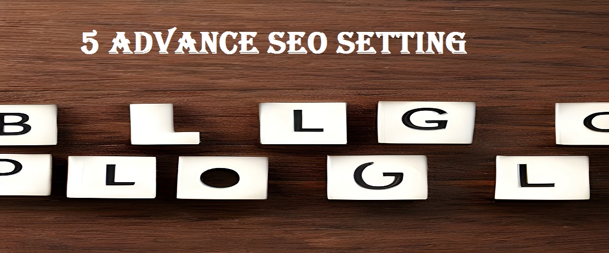 5 advance SEO setting